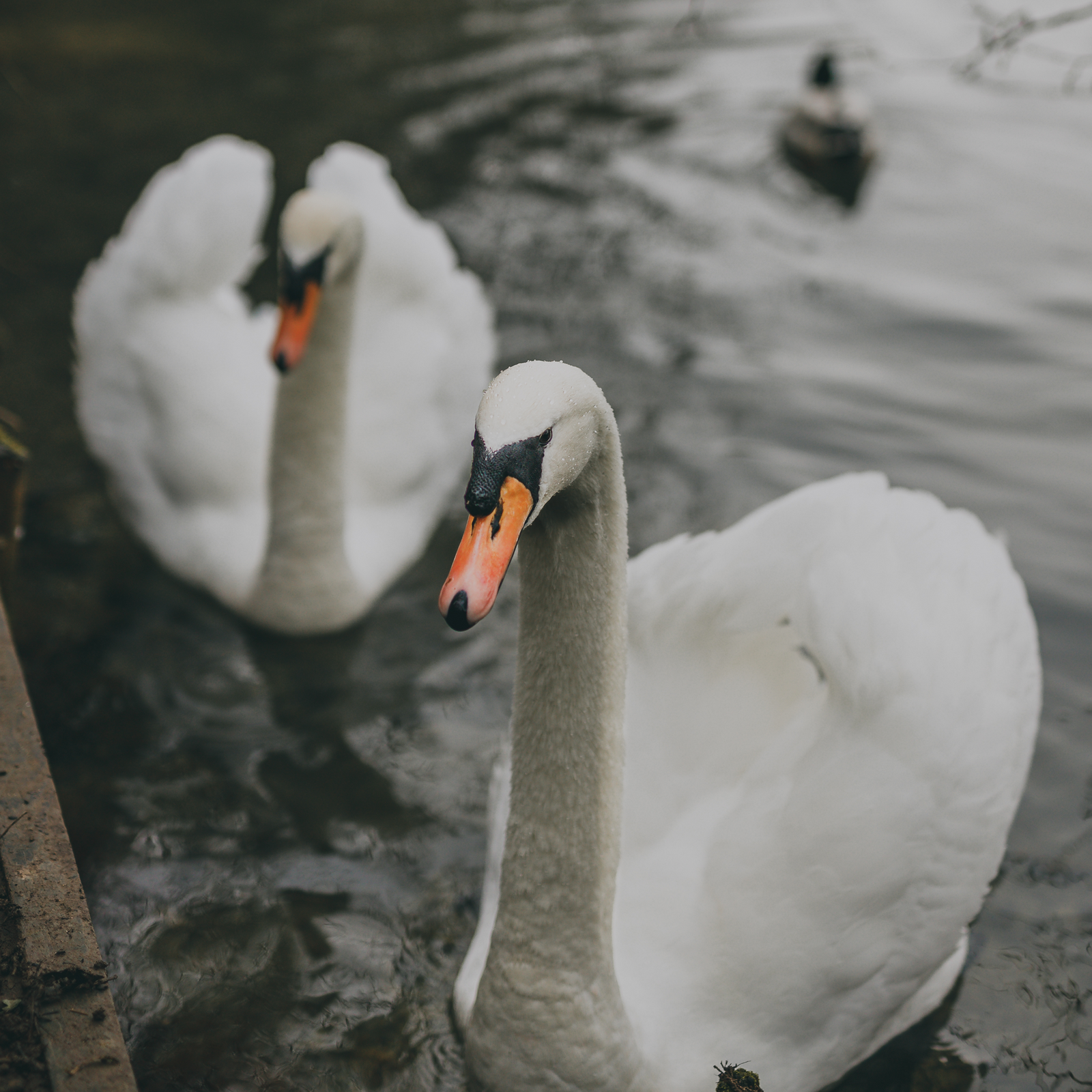 Interview with Photographer Tom Porter