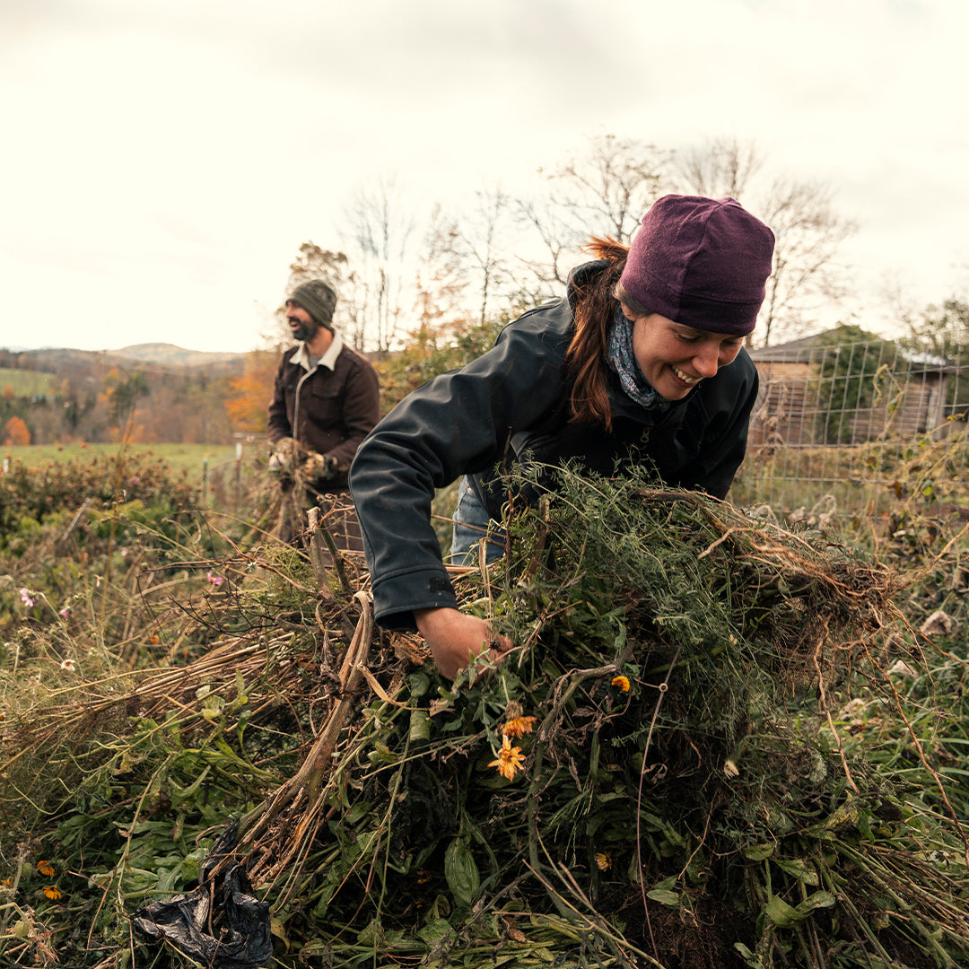 Two people harvesting crops