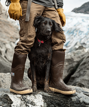 A close up of a black dog between the legs of a man wearing yellow gloves, khaki trousers and brown Xtratuf boots, stood on rocks 