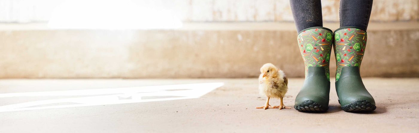 Close up image of a chick and person wearing a pair of Muck Boots