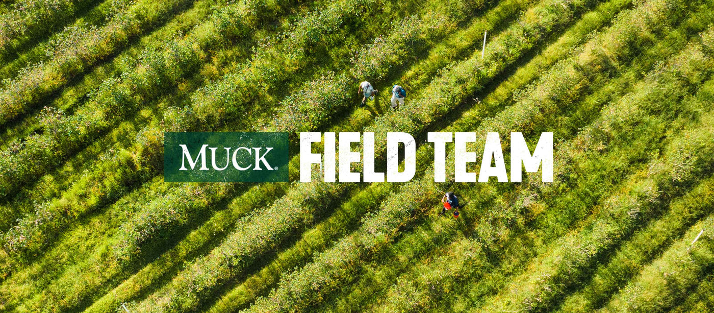 Aerial view of a hedge lined field with three people in. Text reads 'MUCK FIELD TEAM'