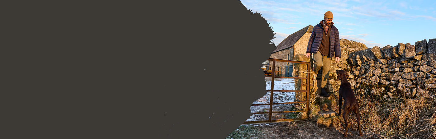 Person standing on a stone wall with a dog, near a metal gate, with a scenic winter background.