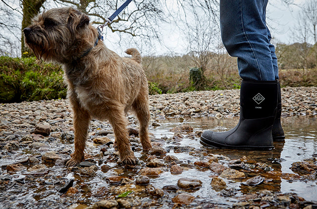 Person wearing a pair of Muck Boots with their dog on a wet, rocky surface