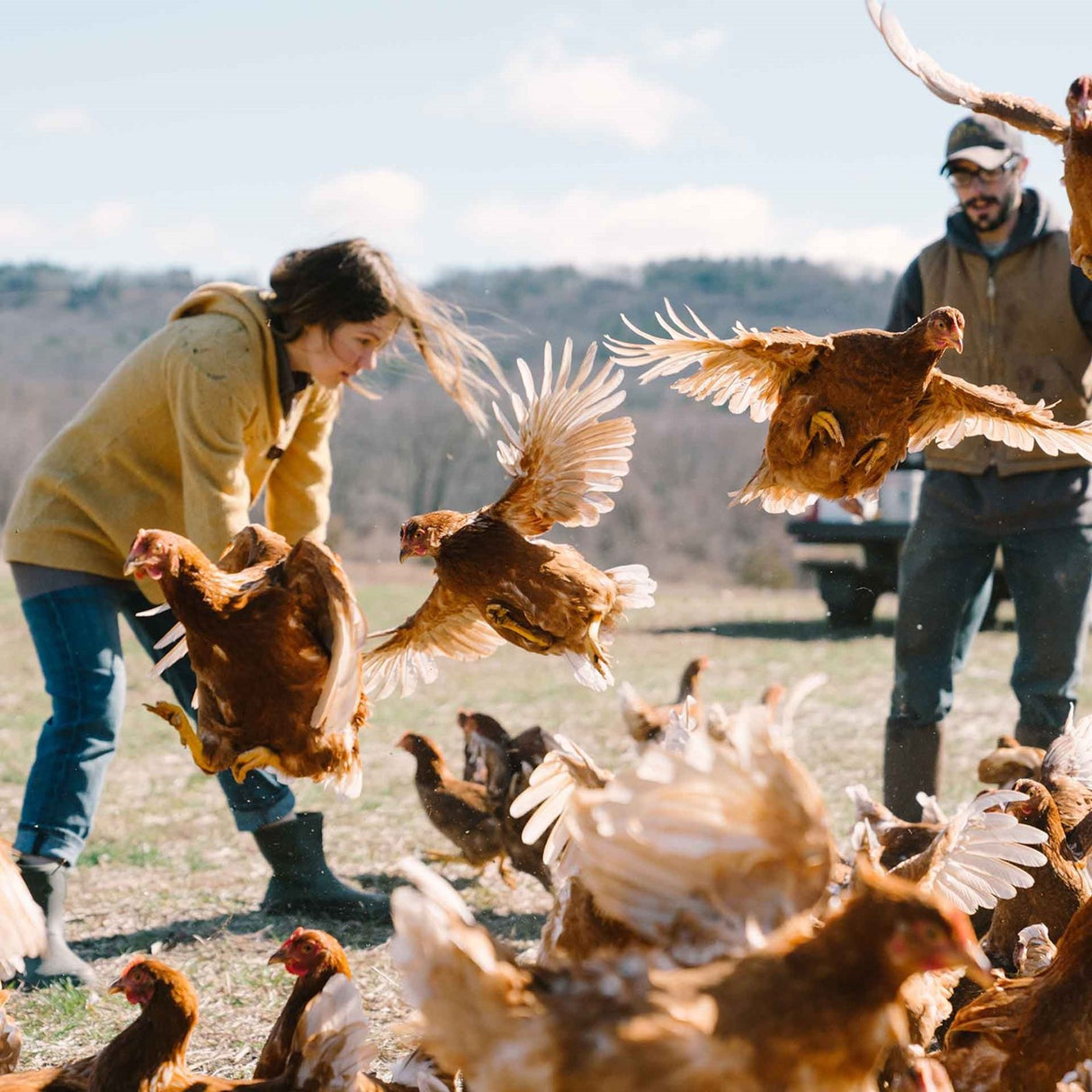Women's Muck Originals Pull-On Ankle Boots Taupe