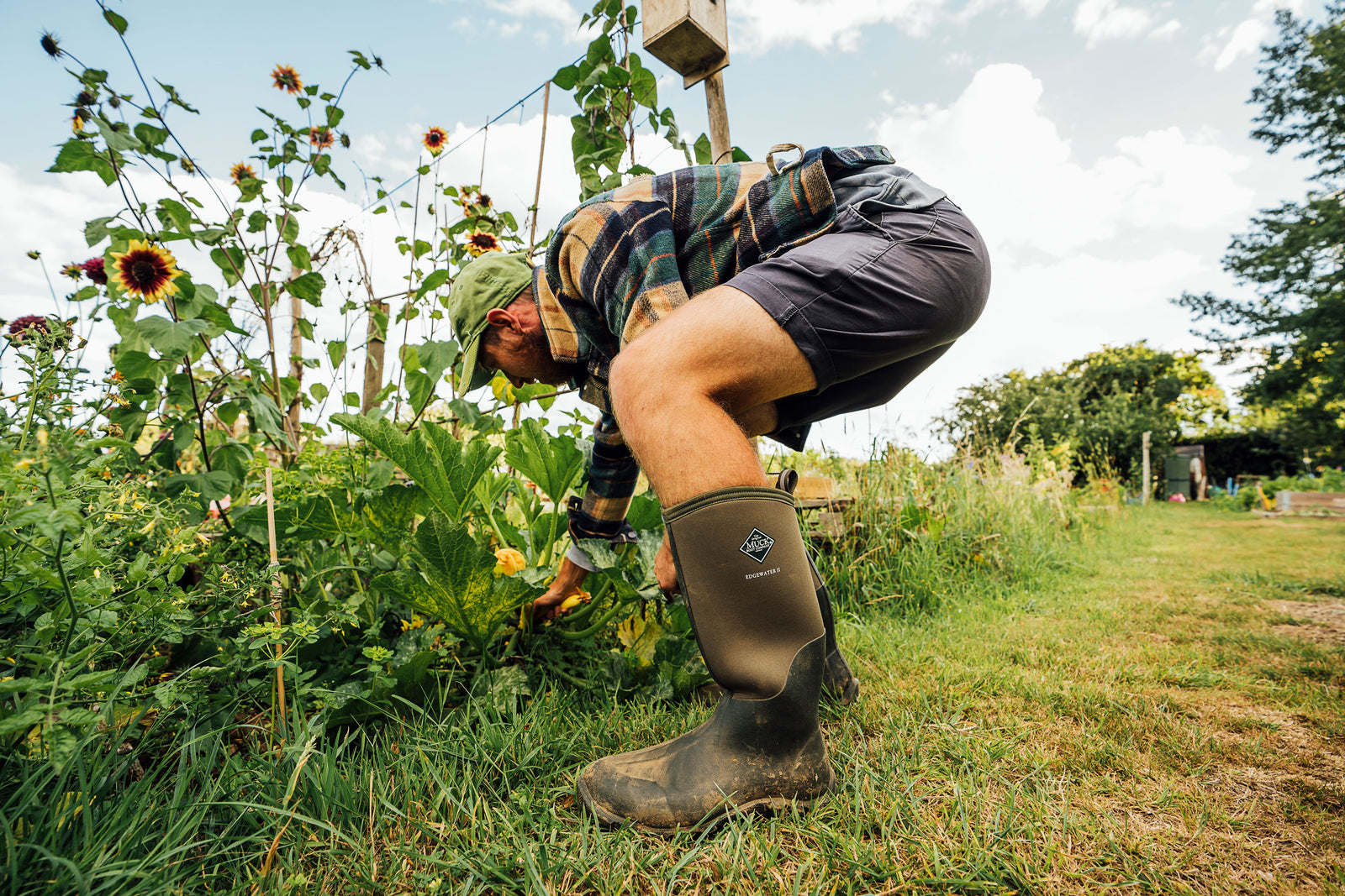 Man bending down to tend to a garden, wearing a pair of shorts and Muck Boots Edgewater II wellingtons