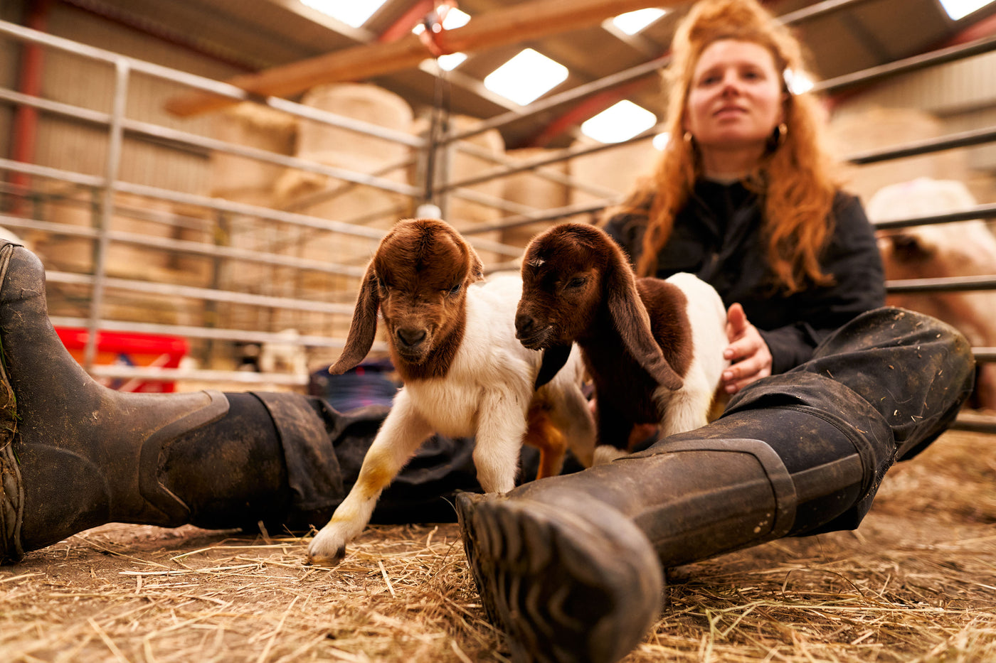 Zoe Colville sat in a barn with two lambs, wearing a pair of Muck Boots