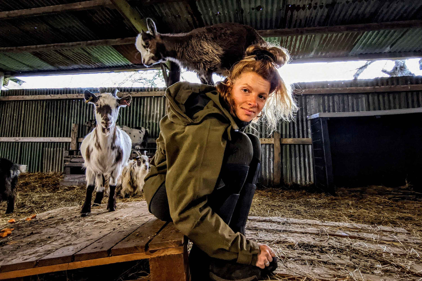 Zoë Colville sat on a wooden pallet in a barn, leaning over wearing a jacket and pair of Muck Boots with a goat stood on her back and others goats behind her