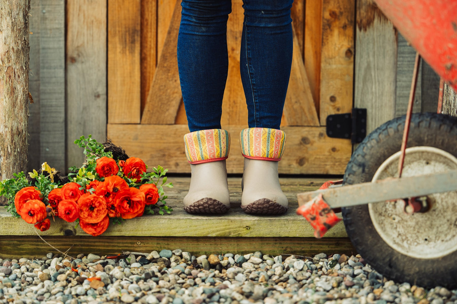 Close-up image of a woman stood next to a bunch of red roses on a wooden plank, wearing a pair of Tan Stripe Quilt Print Muck Boots RHS Muckster II Short Boots with shaft folded down