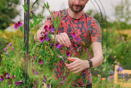 Niall pruning flowers