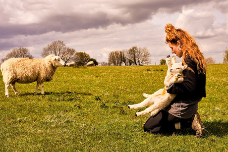 Zoe Colville holding a lamb while the Ewe looks on