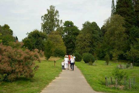 A family walking through a clearing at Bedgebury Forest