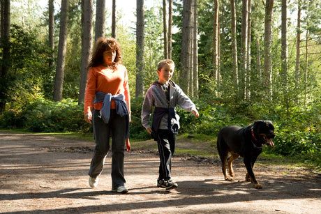 woman and child walking with a dog in a forest