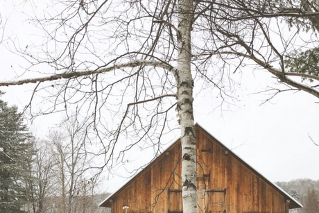 A Livestock Farm Is Never Truly Hibernating