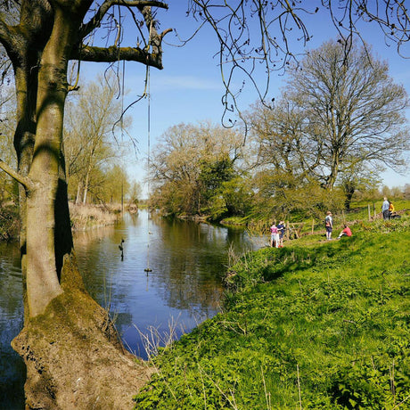 River bank with tree in the foreground and people in the background on a sunny day