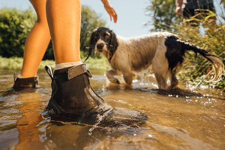 Person in waterproof Women's Apex Zip Ankle Boots standing in shallow water with a dog nearby.