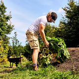 Men's RHS Muckster II Ankle Boots Bark