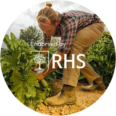 A man planting veg, wearing a pair of Muck Boots Muckster II boots. There is an RHS logo in the foreground.