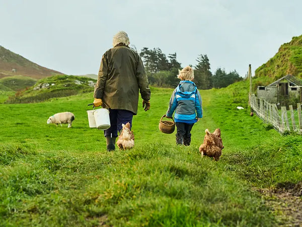 A woman and a young boy walking with buckets and a wicker basket amongst a rugged farmland landscape with a sheep and chickens nearby.