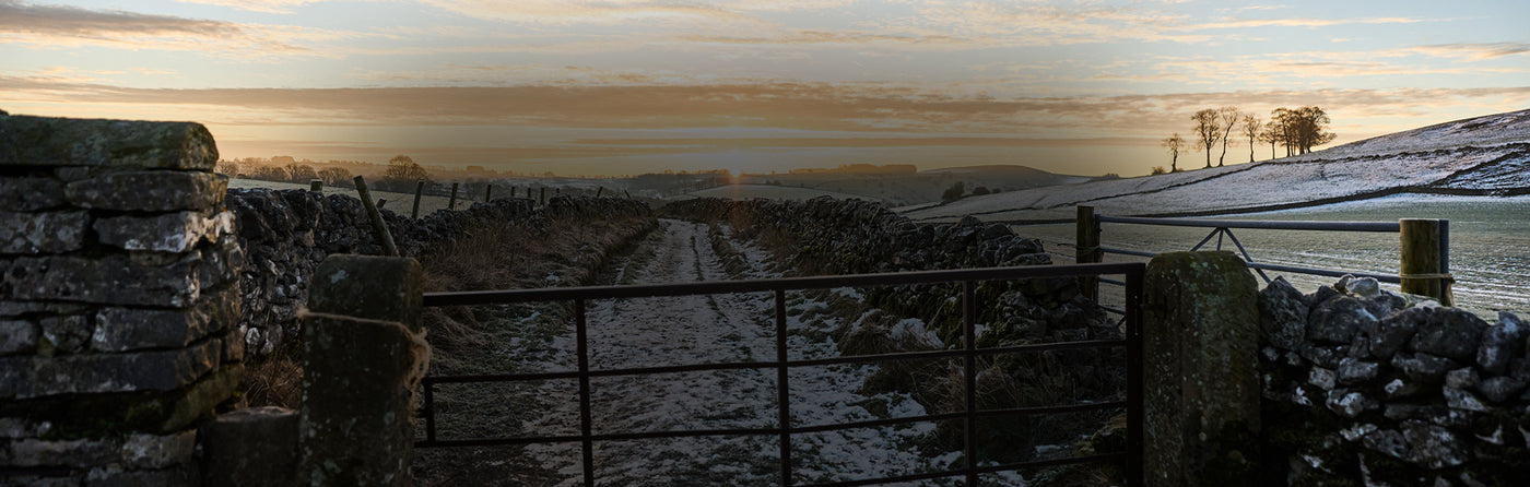 A metal gate with an icy and snow covered path with the sun rising ahead 