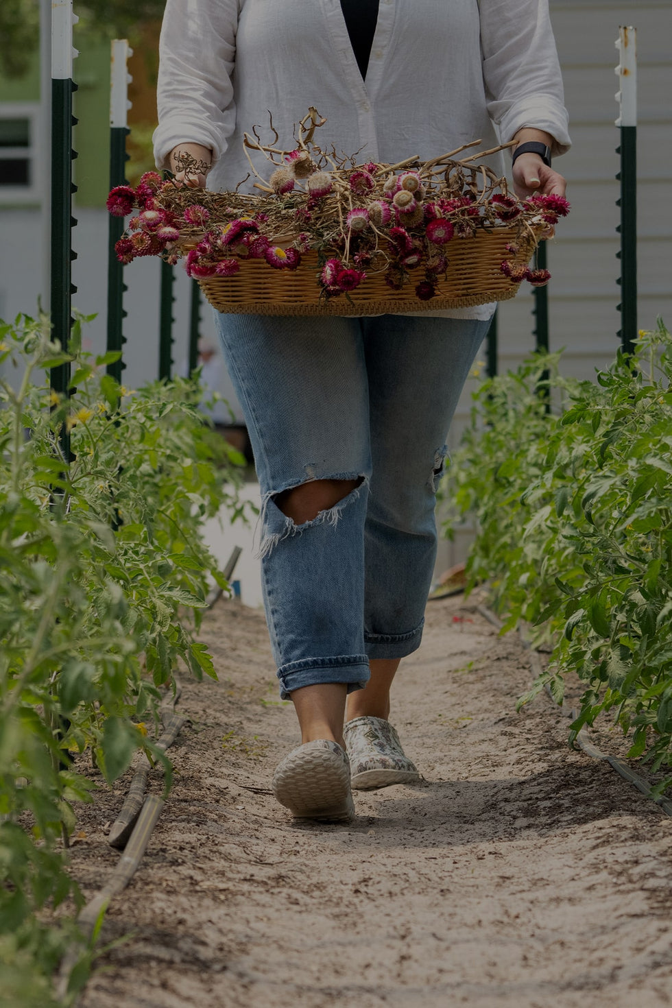 Woman wearing a pair of floral Muck Boots clogs walking down a garden path with dead flower heads in a wicker basket