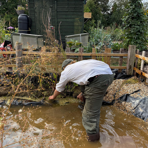 Man stood in a pond on an allotment, wearing a pair of Muck Boots wellingtons