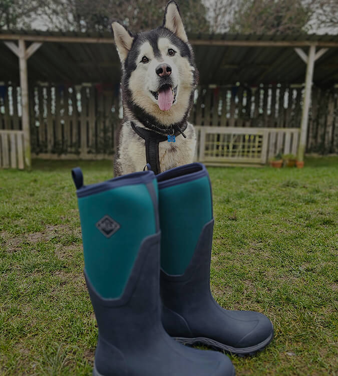 A husky dog stood behind a pair of Muck Boots wellingtons at RSPCA Cornwall