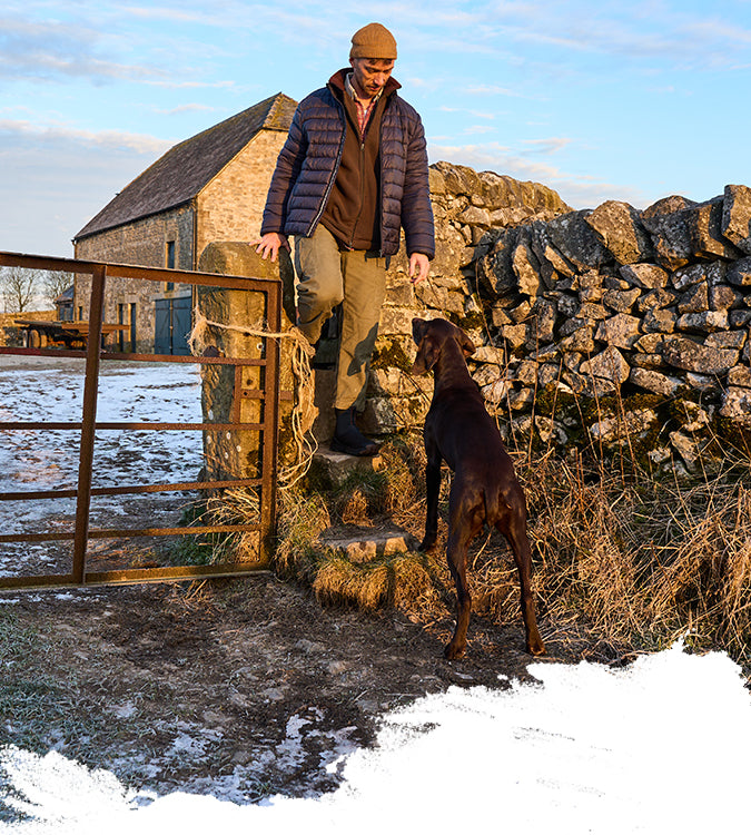 Person standing on a stone wall with a dog, near a metal gate, with a scenic winter background.
