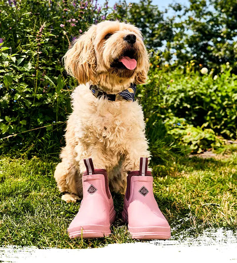 A dog wearing a pair of Muck Boots Women's Rainscape Chelsea Boots in Woodrose twilight mauve outside surrounded by lush greenery and sunshine.