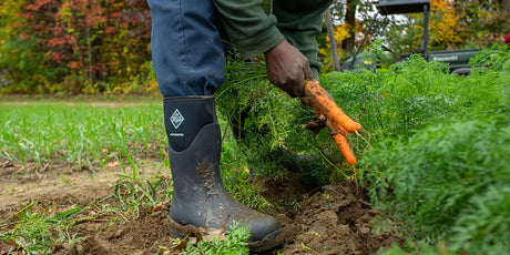 Man planting carrots wearing a pair of Muck Boots Muckmaster wellingtons.