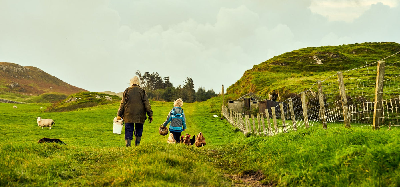 Woman and child walking through a field with chickens and sheep