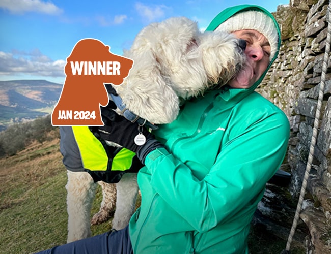 Jayne Lapping - WINNER JAN 2024