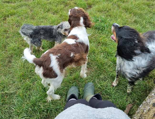 Credit: Angela Martin