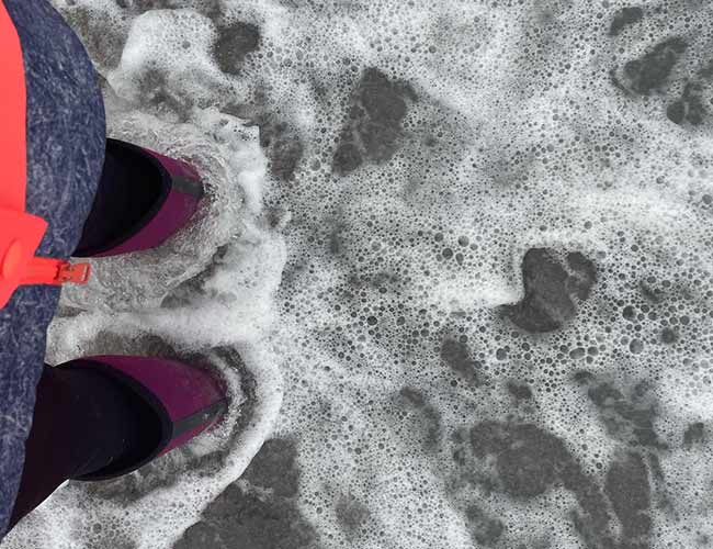 Credit: Lisa Manners