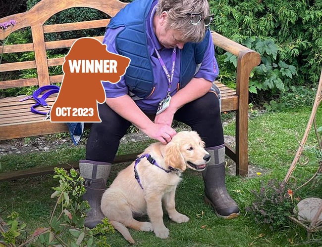 Liz Geddes - WINNER OCT 2023