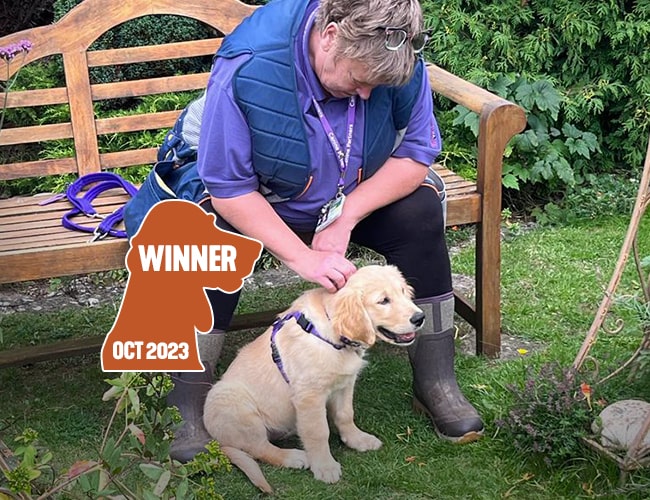 WINNER OCT 2023. Credit: Liz Geddes