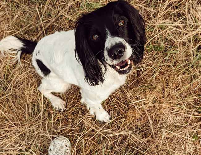 Credit: Zoe Colville