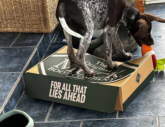 Credit: Jacqui Greene