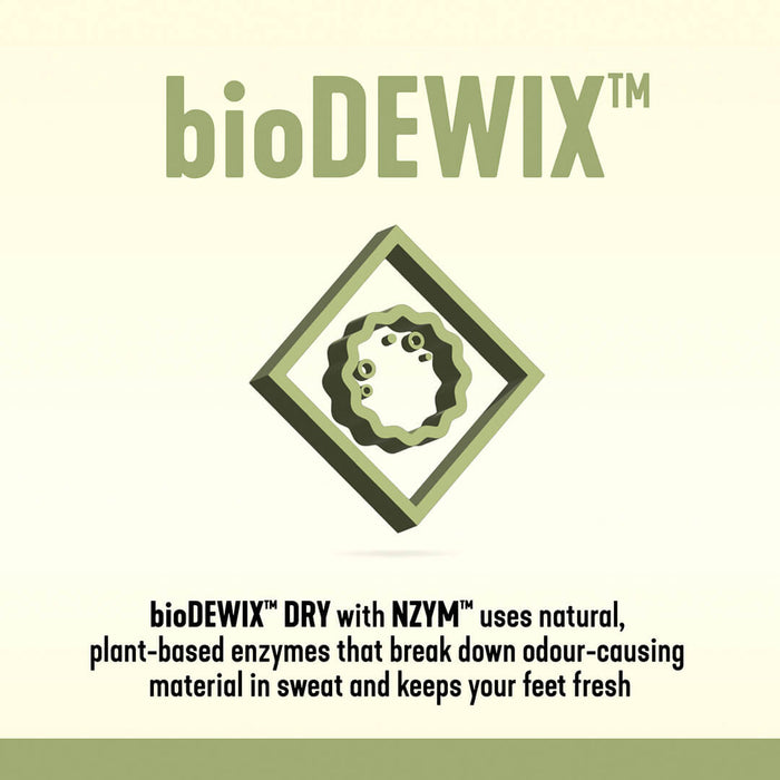 bioDEWIX logo and text on a beige background
