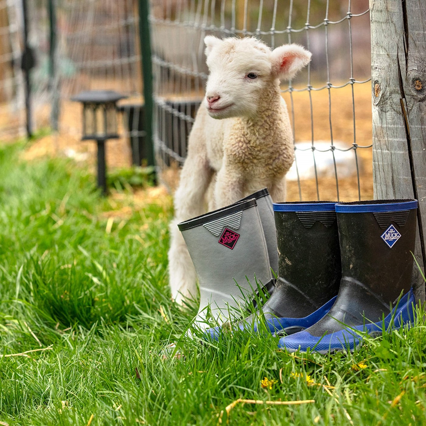 Kids Forager Tall Boots