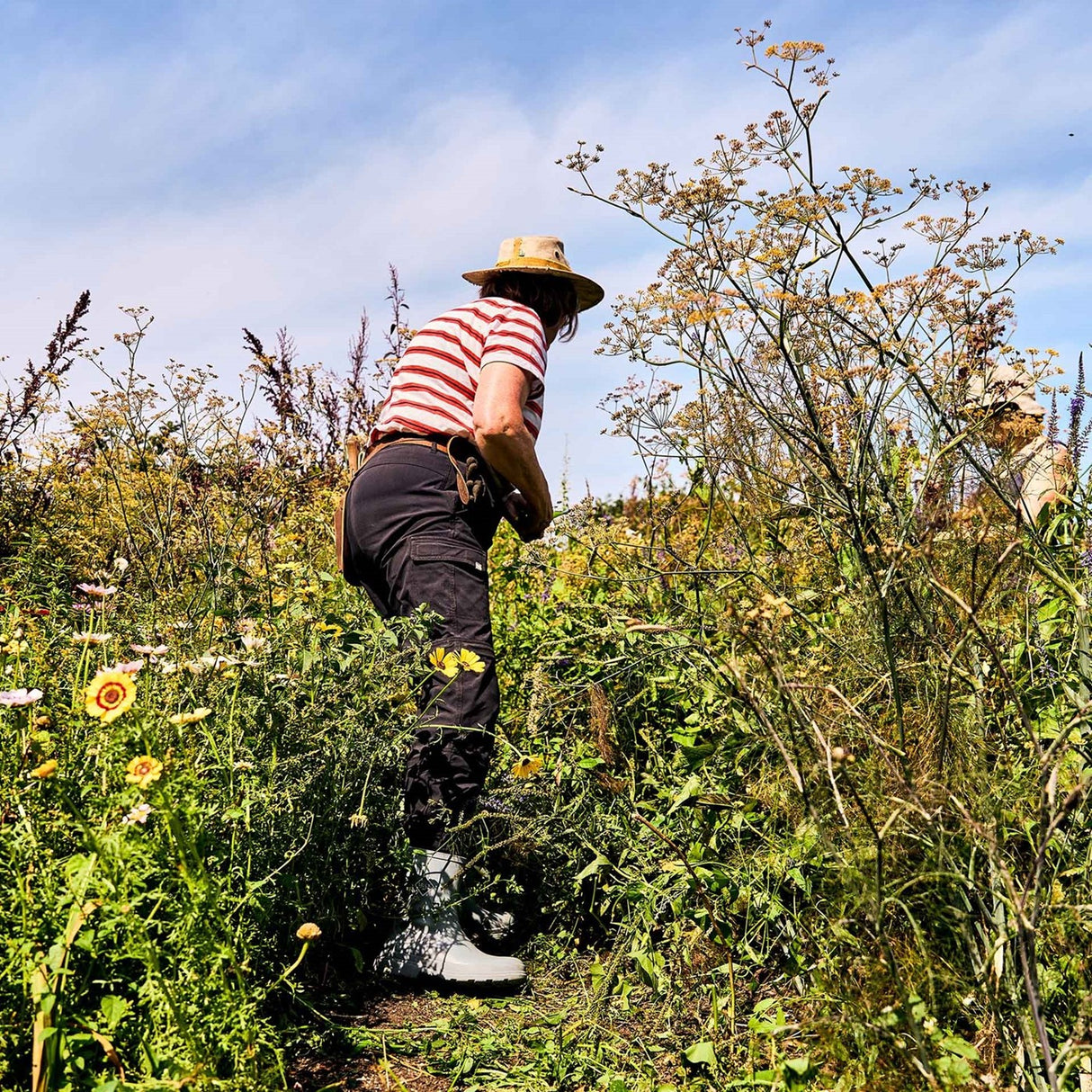 Women's Rainscape Short Boots Sand Chinchilla