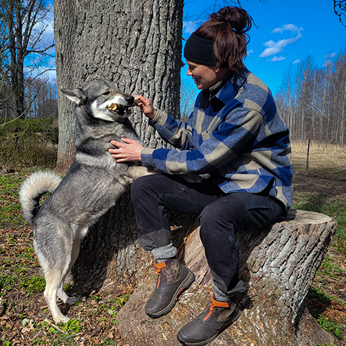 Nathalie Larsson sat on a tree stump, wearing a pair of Muck Boot Apex Short Boots whilst giving a dog a bone